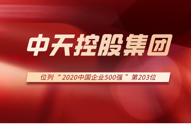 天九娱乐集团列2020中国企业500强第203位！